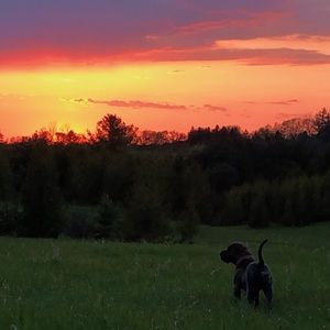 Meet your Posher, Cheyenne